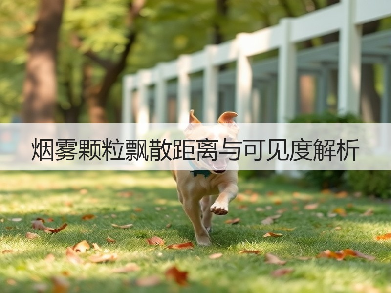 烟雾颗粒飘散距离与可见度解析