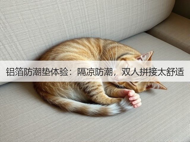 铝箔防潮垫体验:隔凉防潮,双人拼接太舒适(图2) 铝箔防潮垫体验:隔凉防潮,双人拼接太舒适(图2)