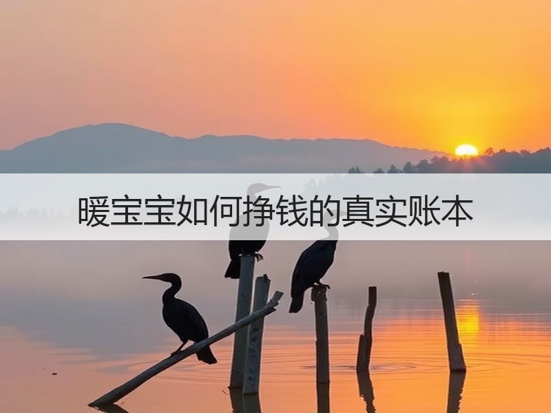 暖宝宝如何挣钱的真实账本