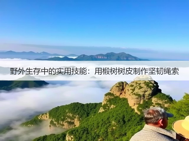 野外生存中的实用技能：用椴树树皮制作坚韧绳索(图2)