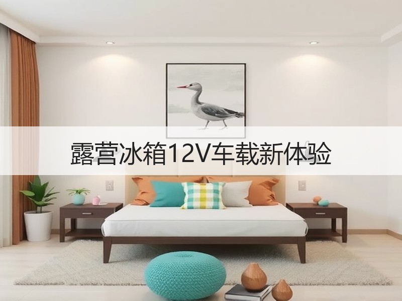 露营冰箱12V车载新体验