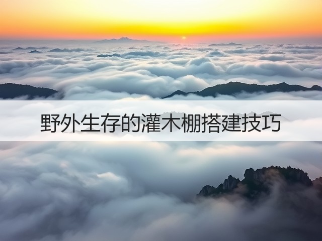 野外生存的灌木棚搭建技巧(图2) 野外生存的灌木棚搭建技巧(图2)