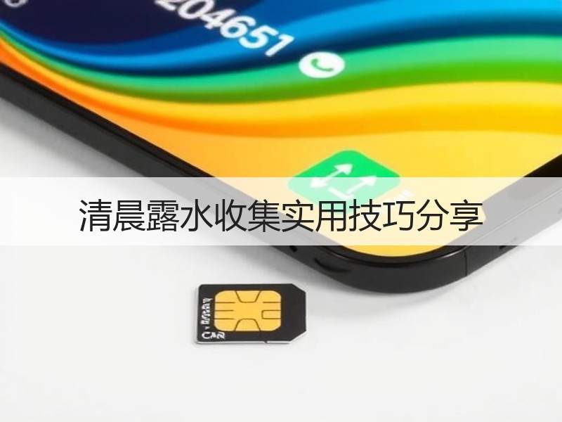 清晨露水收集实用技巧分享