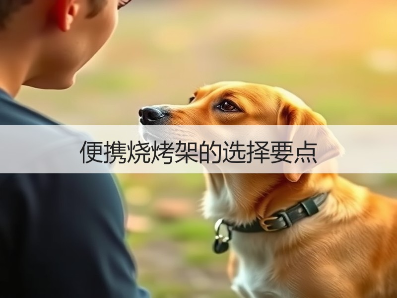 便携烧烤架的选择要点