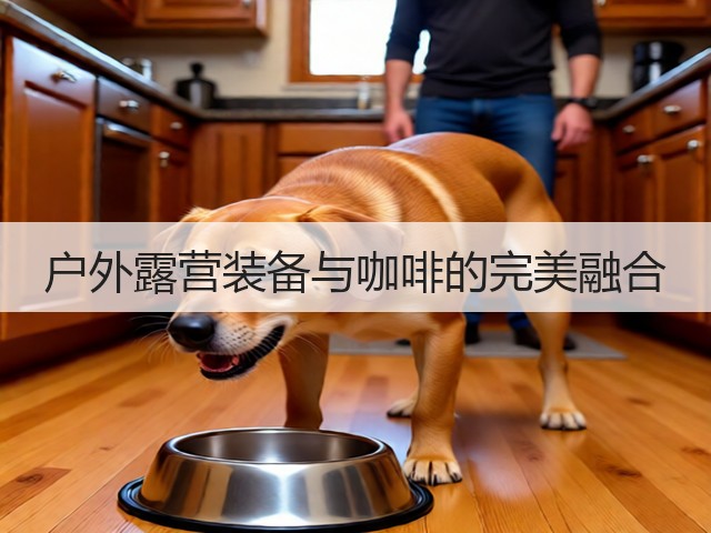 户外露营装备与咖啡的完美融合(图1) 户外露营装备与咖啡的完美融合(图1)