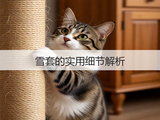 雪套的实用细节解析(图2) 雪套的实用细节解析(图2)