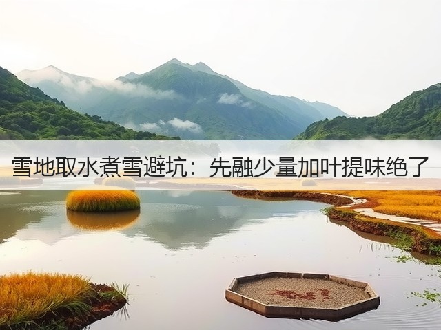 雪地取水煮雪避坑:先融少量加叶提味绝了(图1) 雪地取水煮雪避坑:先融少量加叶提味绝了(图1)