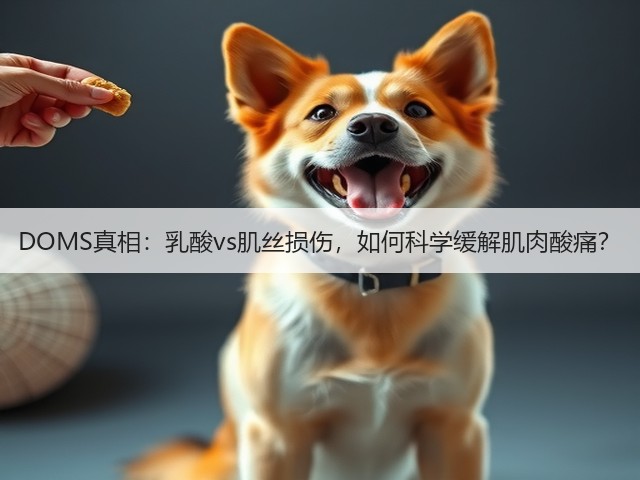 DOMS真相:乳酸vs肌丝损伤,如何科学缓解肌肉酸痛?(图3) DOMS真相:乳酸vs肌丝损伤,如何科学缓解肌肉酸痛?(图3)