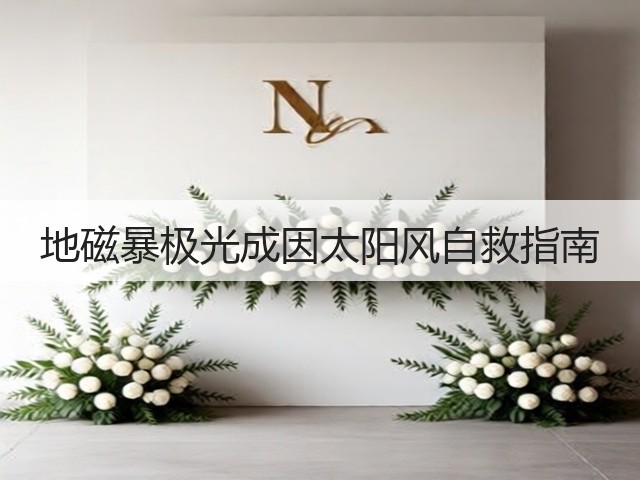 地磁暴极光成因太阳风自救指南(图2) 地磁暴极光成因太阳风自救指南(图2)