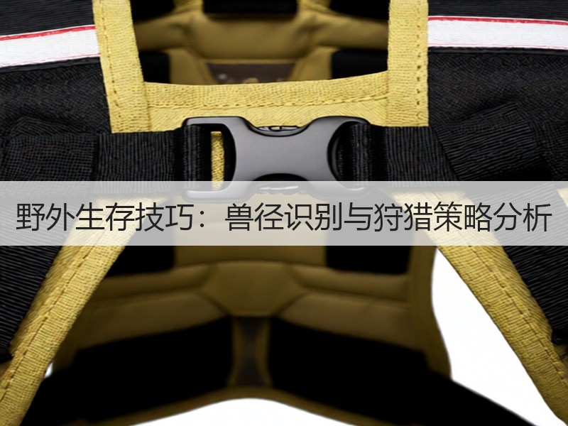 野外生存技巧：兽径识别与狩猎策略分析