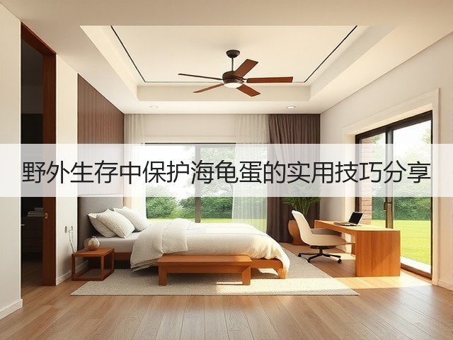 野外生存中保护海龟蛋的实用技巧分享(图1) 野外生存中保护海龟蛋的实用技巧分享(图1)