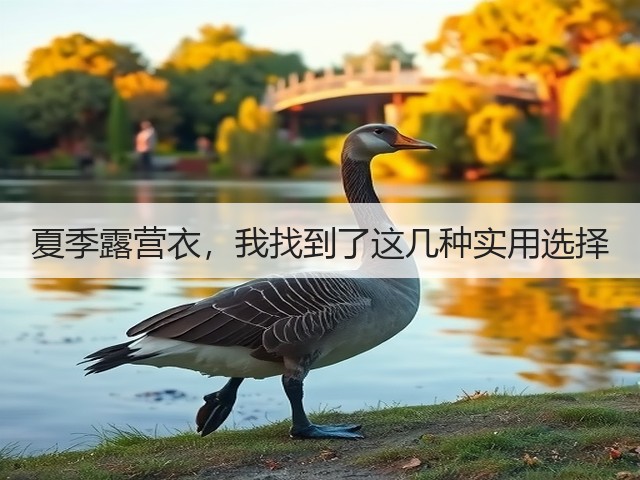 夏季露营衣,我找到了这几种实用选择(图2) 夏季露营衣,我找到了这几种实用选择(图2)