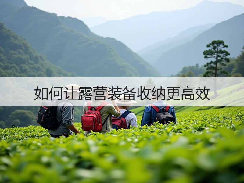 如何让露营装备收纳更高效