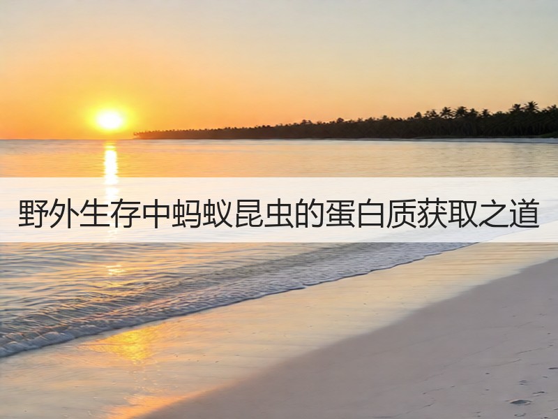 野外生存中蚂蚁昆虫的蛋白质获取之道