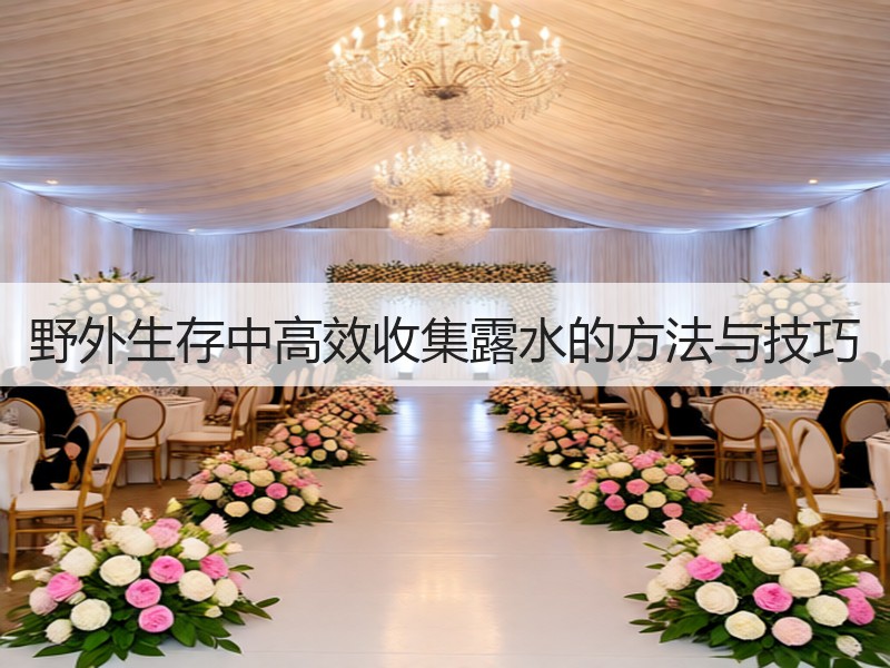 野外生存中高效收集露水的方法与技巧