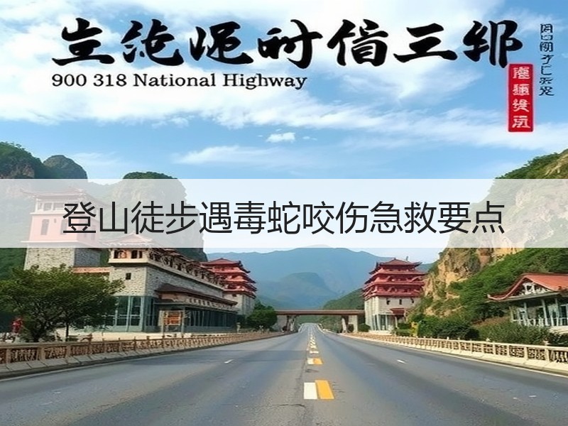 登山徒步遇毒蛇咬伤急救要点