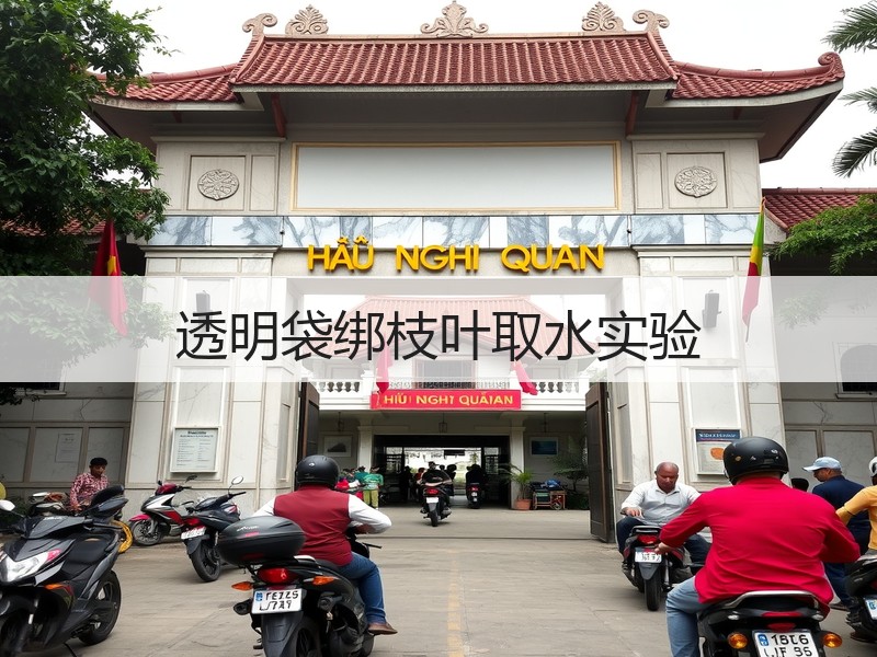 透明袋绑枝叶取水实验
