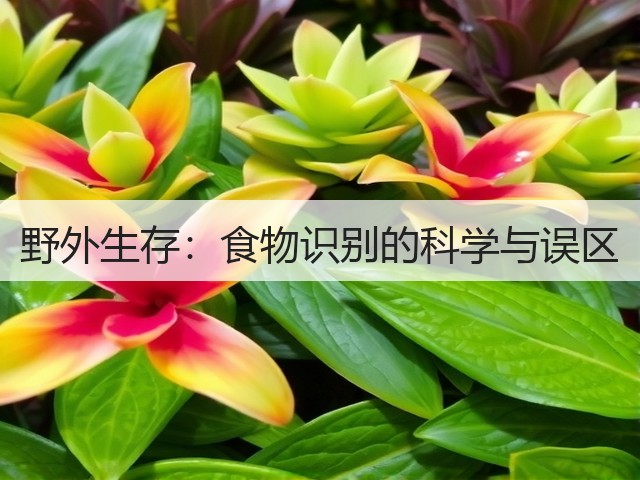 野外生存:食物识别的科学与误区(图1) 野外生存:食物识别的科学与误区(图1)