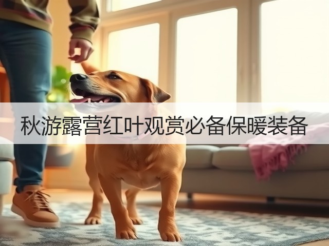 秋游露营红叶观赏必备保暖装备(图1) 秋游露营红叶观赏必备保暖装备(图1)