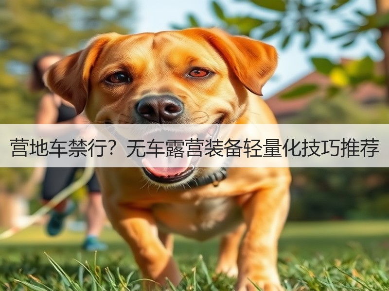 营地车禁行？无车露营装备轻量化技巧推荐