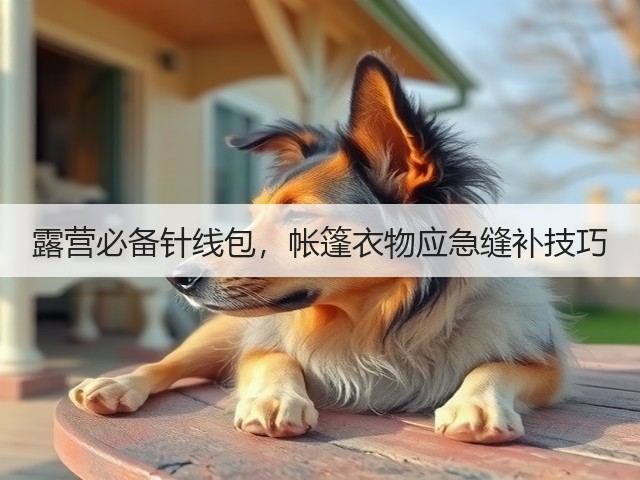 露营必备针线包,帐篷衣物应急缝补技巧(图1) 露营必备针线包,帐篷衣物应急缝补技巧(图1)