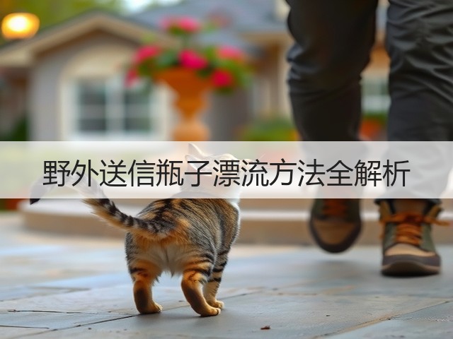 野外送信瓶子漂流方法全解析(图1) 野外送信瓶子漂流方法全解析(图1)