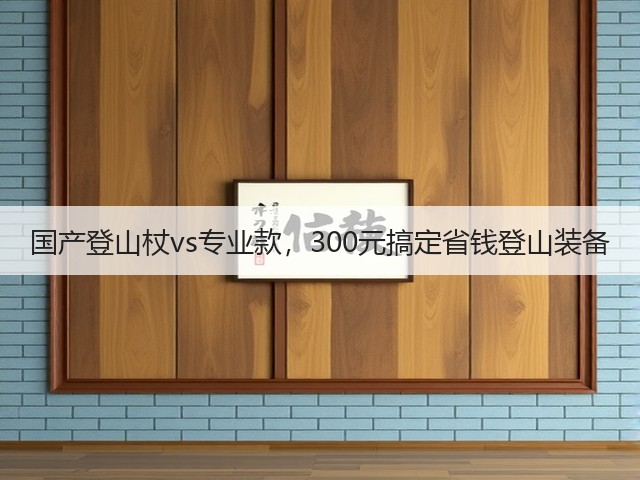 国产登山杖vs专业款,300元搞定省钱登山装备(图2) 国产登山杖vs专业款,300元搞定省钱登山装备(图2)