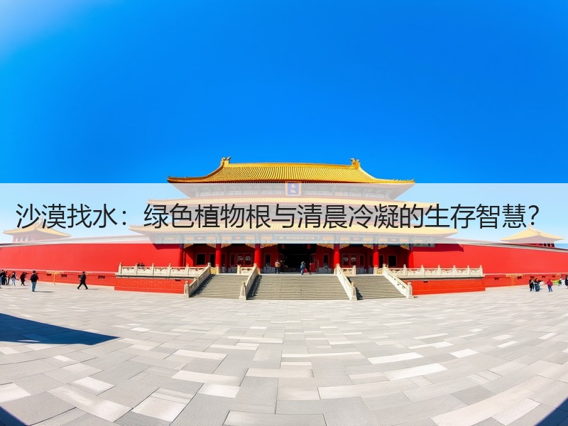 沙漠找水：绿色植物根与清晨冷凝的生存智慧？