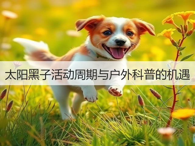 太阳黑子活动周期与户外科普的机遇(图3) 太阳黑子活动周期与户外科普的机遇(图3)