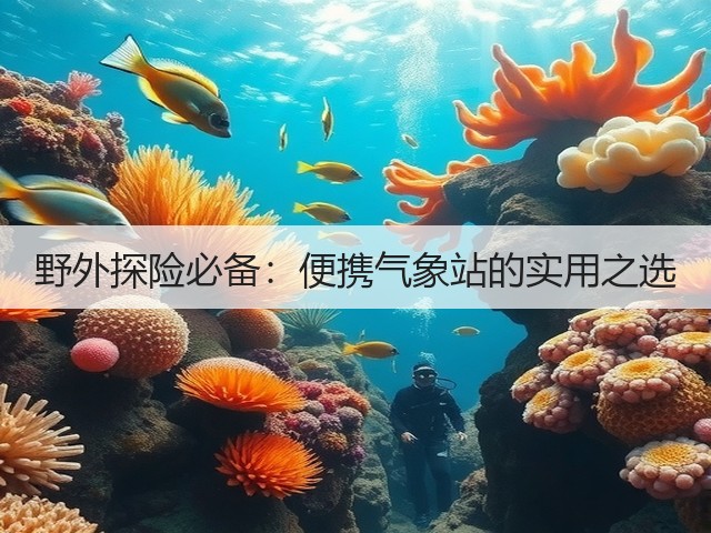 野外探险必备:便携气象站的实用之选(图3) 野外探险必备:便携气象站的实用之选(图3)