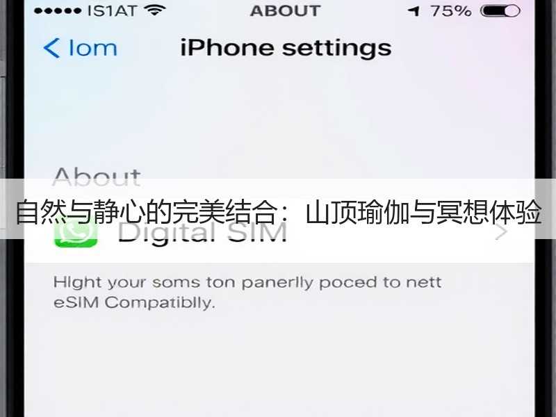 自然与静心的完美结合：山顶瑜伽与冥想体验