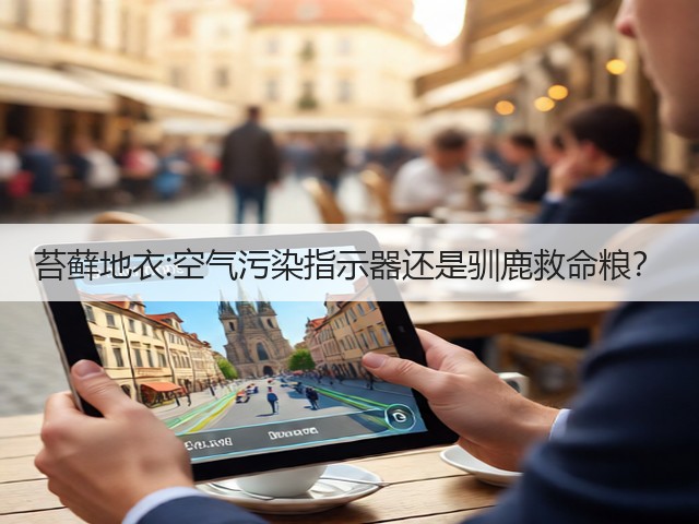 苔藓地衣:空气污染指示器还是驯鹿救命粮?(图3) 苔藓地衣:空气污染指示器还是驯鹿救命粮?(图3)