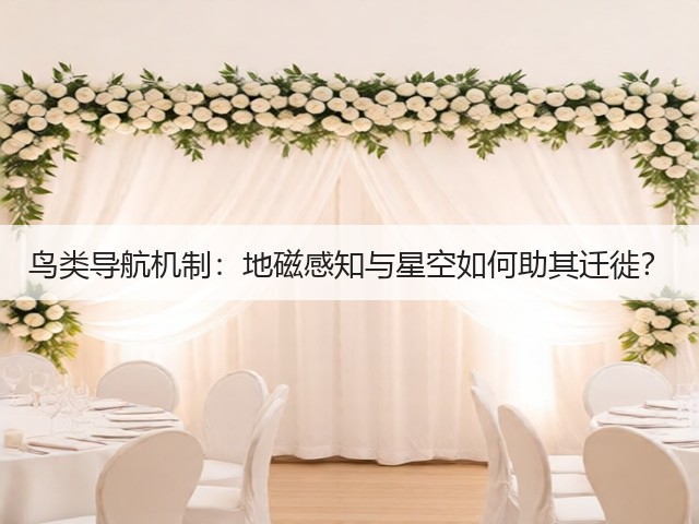 鸟类导航机制:地磁感知与星空如何助其迁徙?(图2) 鸟类导航机制:地磁感知与星空如何助其迁徙?(图2)