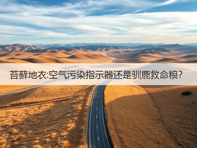 苔藓地衣:空气污染指示器还是驯鹿救命粮?(图2) 苔藓地衣:空气污染指示器还是驯鹿救命粮?(图2)