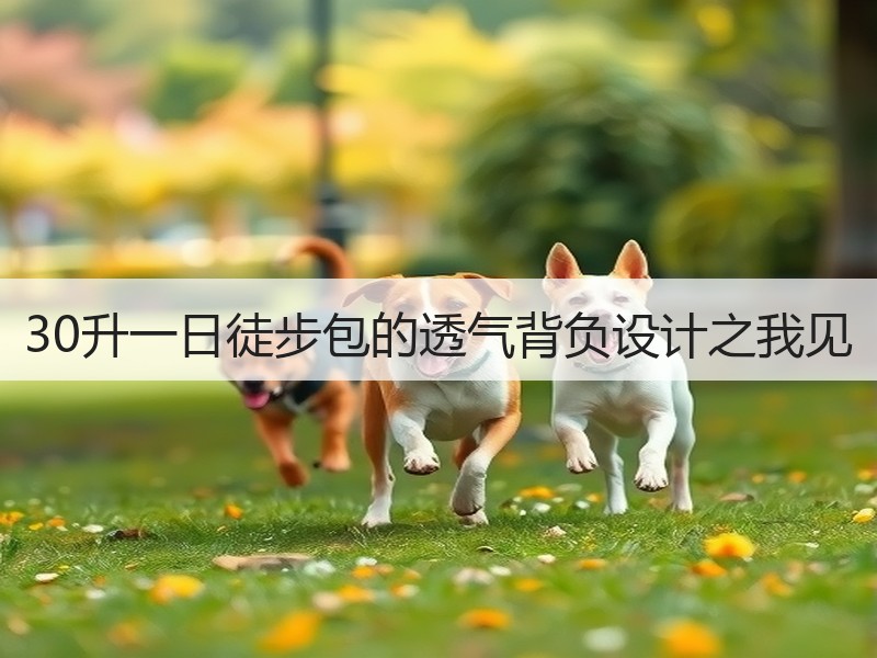 30升一日徒步包的透气背负设计之我见