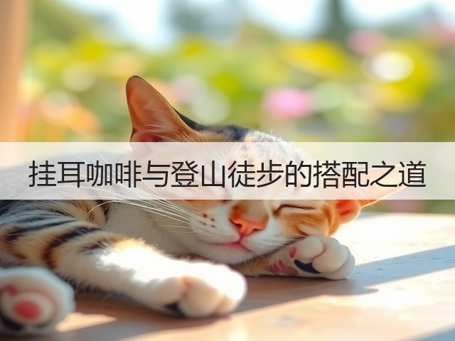 挂耳咖啡与登山徒步的搭配之道(图2) 挂耳咖啡与登山徒步的搭配之道(图2)