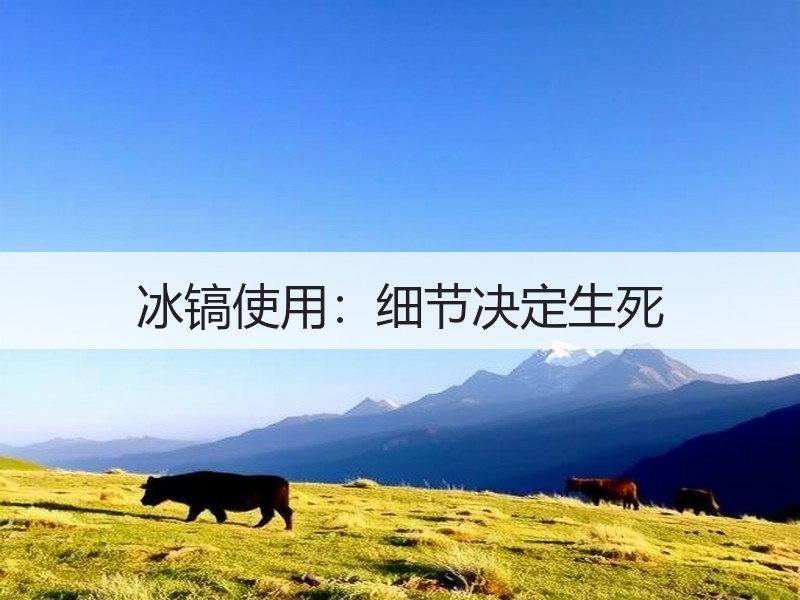 冰镐使用：细节决定生死