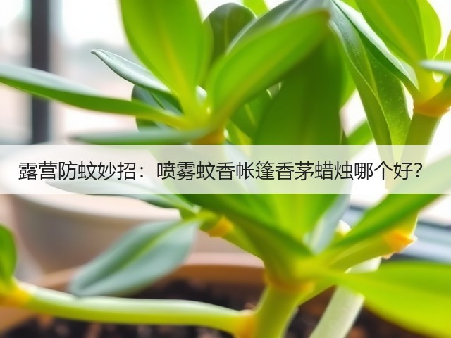 露营防蚊妙招:喷雾蚊香帐篷香茅蜡烛哪个好?(图1) 露营防蚊妙招:喷雾蚊香帐篷香茅蜡烛哪个好?(图1)