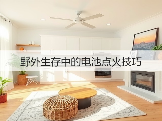 野外生存中的电池点火技巧(图3) 野外生存中的电池点火技巧(图3)