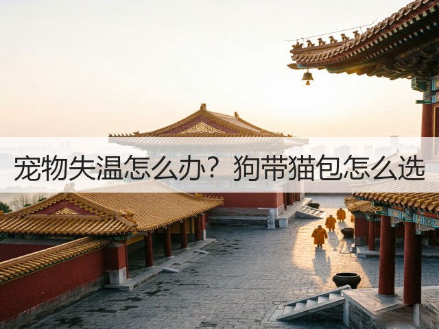 宠物失温怎么办?狗带猫包怎么选(图1) 宠物失温怎么办?狗带猫包怎么选(图1)