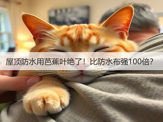 屋顶防水用芭蕉叶绝了!比防水布强100倍?(图2) 屋顶防水用芭蕉叶绝了!比防水布强100倍?(图2)