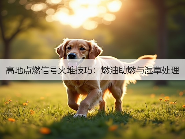 高地点燃信号火堆技巧:燃油助燃与湿草处理(图3) 高地点燃信号火堆技巧:燃油助燃与湿草处理(图3)