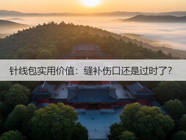 针线包实用价值:缝补伤口还是过时了?(图1) 针线包实用价值:缝补伤口还是过时了?(图1)