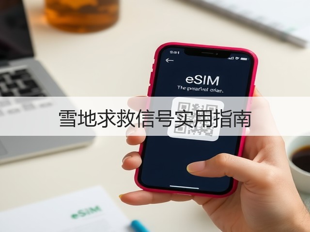 雪地求救信号实用指南(图1) 雪地求救信号实用指南(图1)