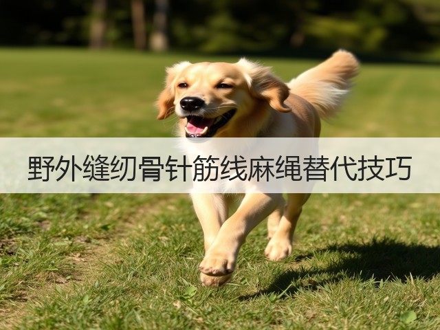 野外缝纫骨针筋线麻绳替代技巧(图1) 野外缝纫骨针筋线麻绳替代技巧(图1)