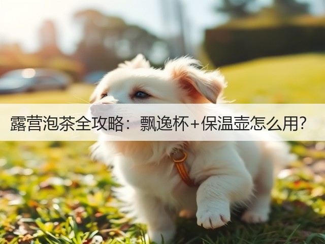 露营泡茶全攻略:飘逸杯+保温壶怎么用?(图2) 露营泡茶全攻略:飘逸杯+保温壶怎么用?(图2)