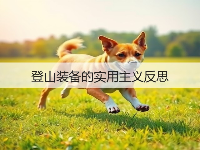 登山装备的实用主义反思(图1) 登山装备的实用主义反思(图1)