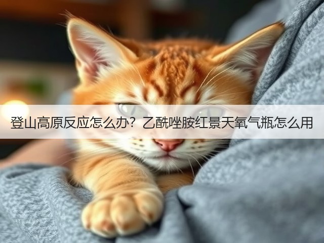 登山高原反应怎么办?乙酰唑胺红景天氧气瓶怎么用(图1) 登山高原反应怎么办?乙酰唑胺红景天氧气瓶怎么用(图1)