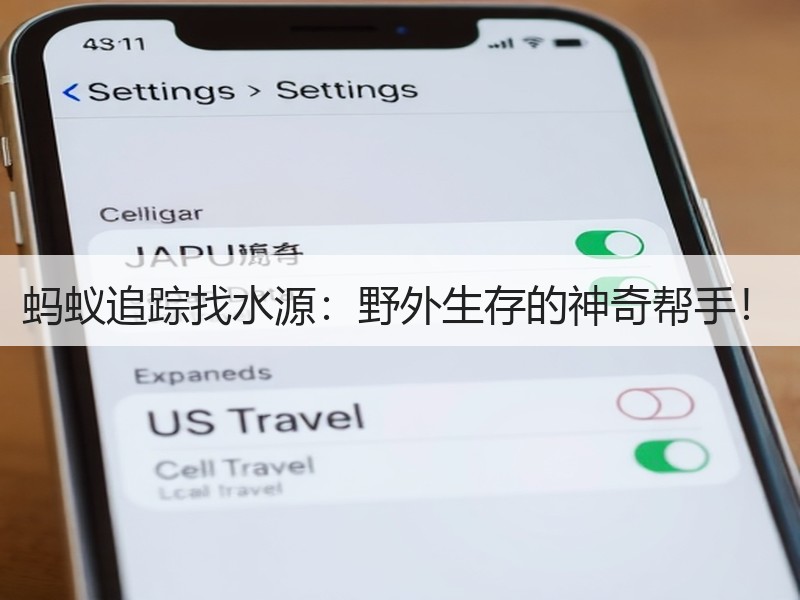 蚂蚁追踪找水源：野外生存的神奇帮手！