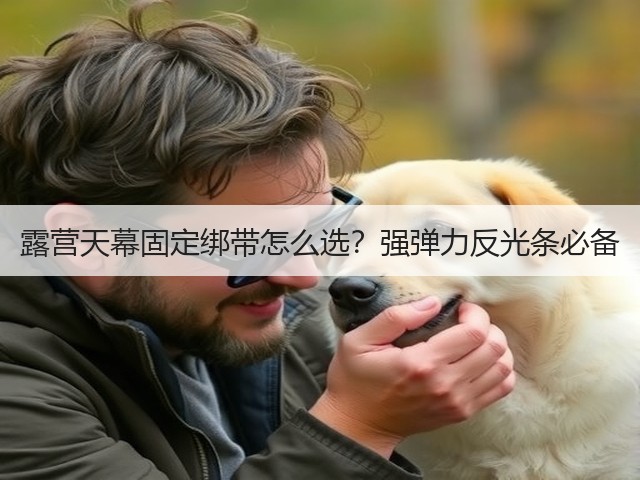 露营天幕固定绑带怎么选?强弹力反光条必备(图2) 露营天幕固定绑带怎么选?强弹力反光条必备(图2)